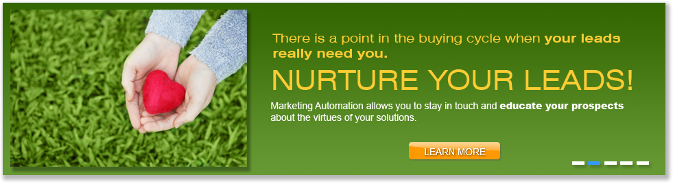 online marketing agency, market 8,nurture