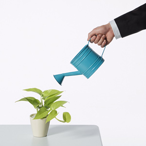 6 Reasons Why a Lead Nurturing Campaign Matters to Your Sales Funnel - Featured Image