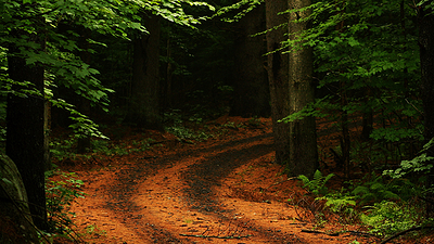 Detailing the Buying Process for B2B: Awareness, Evaluation and Decision - Featured Image