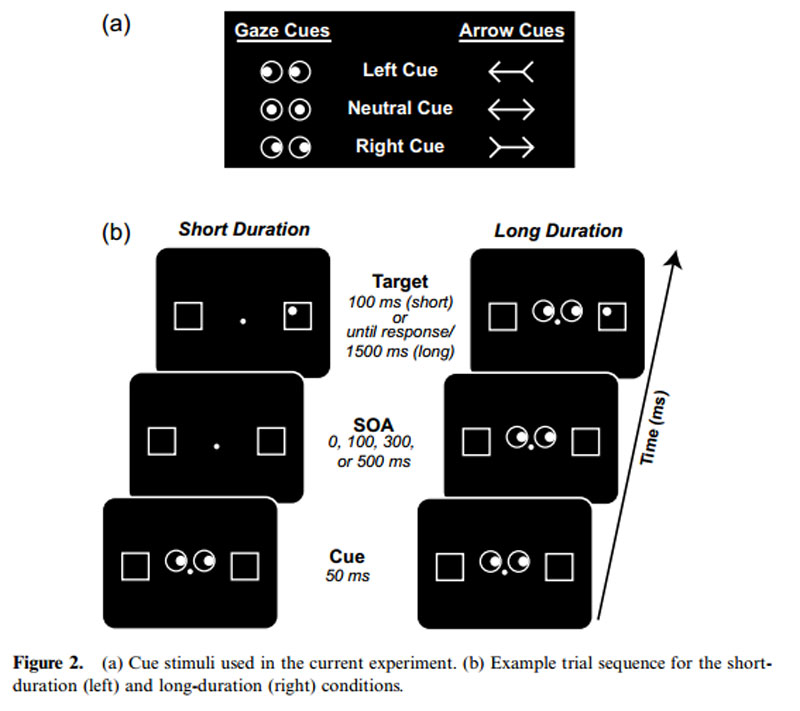 Redirecting--directional_cues,_user_experience