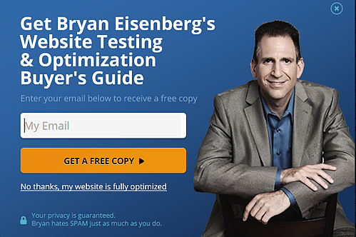 high-converting-landing-page-Bryan-Eisenberg-Website-Testing-CTA