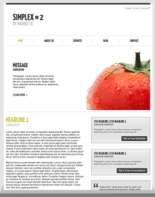 Web Design For Startups