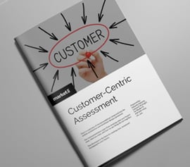 website-customer-centric-assessment-cover.png
