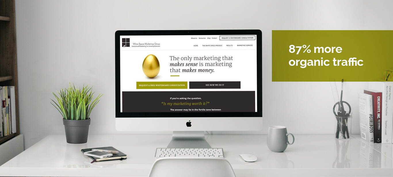 strategic-marketing-consulting-whitespacemarketing-MainBanner_WhiteSpace