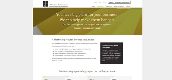 strategic-marketing-consulting-whitespacemarketing-WSMG-Full-Process-Page