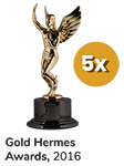 Gold Hermes Award